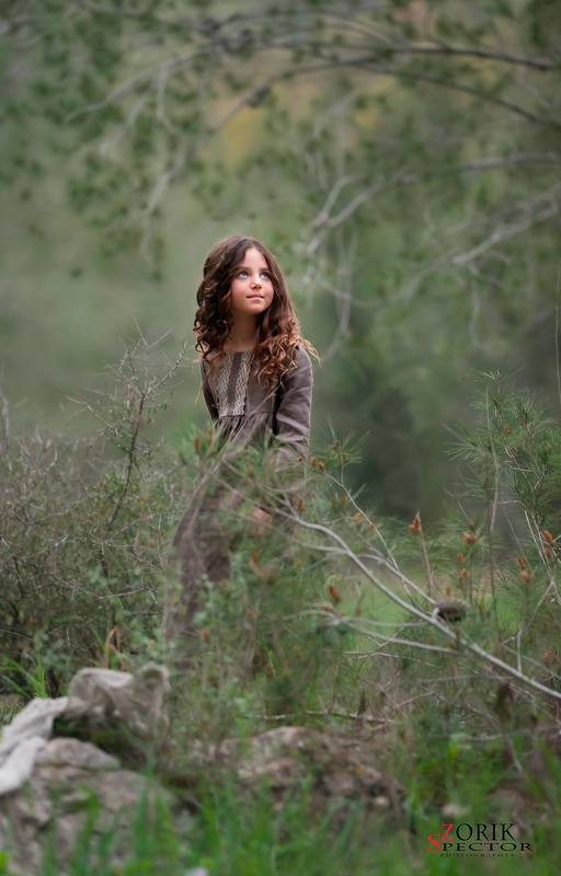 Search of a miracle фото превью