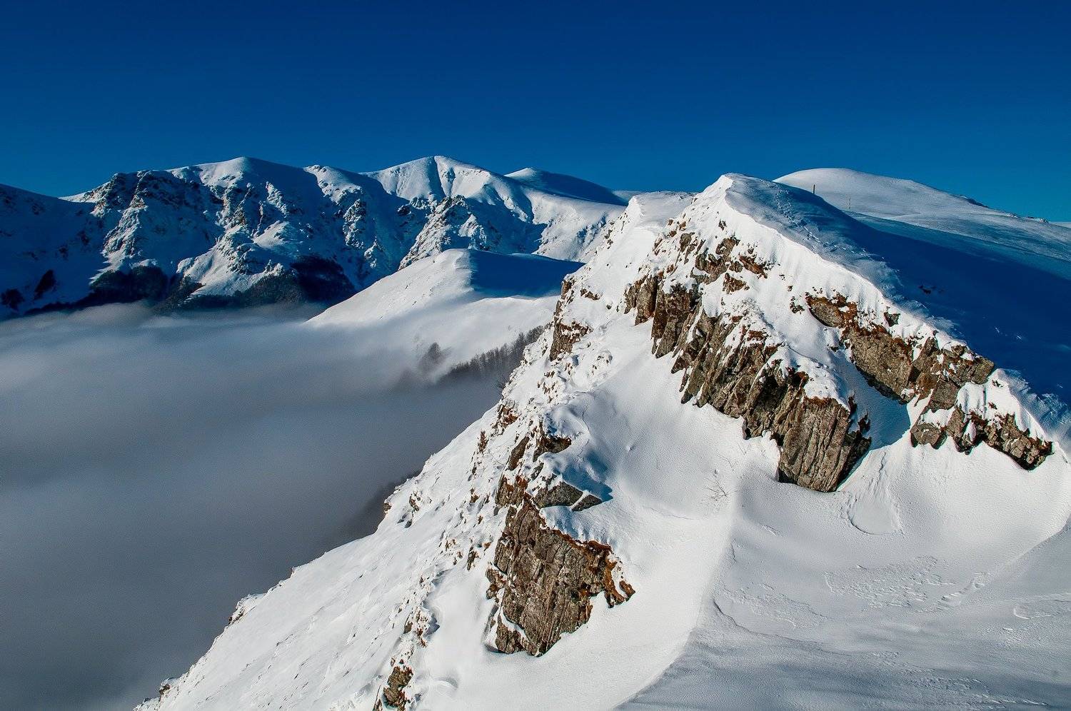 , Николай Кулев