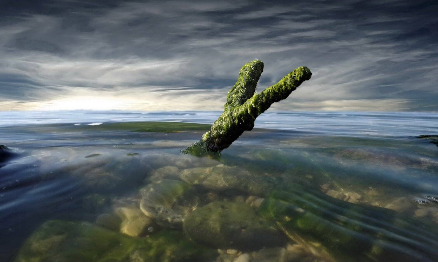 одесса, Сергей Кошелев