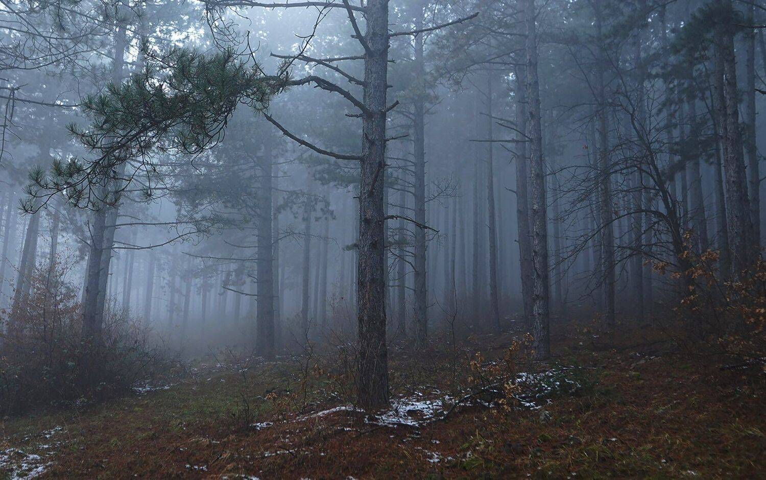 , Красимир Георгиев