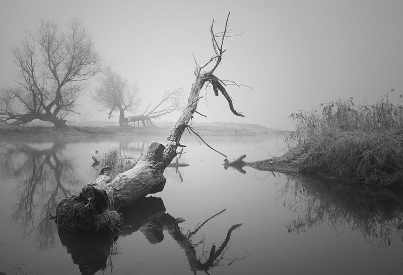 ... фото превью