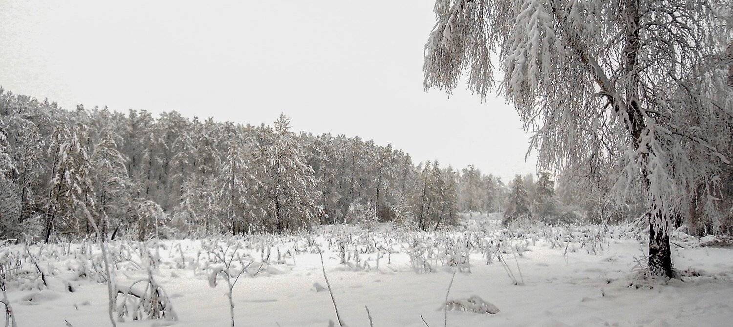 , Руслан Востриков