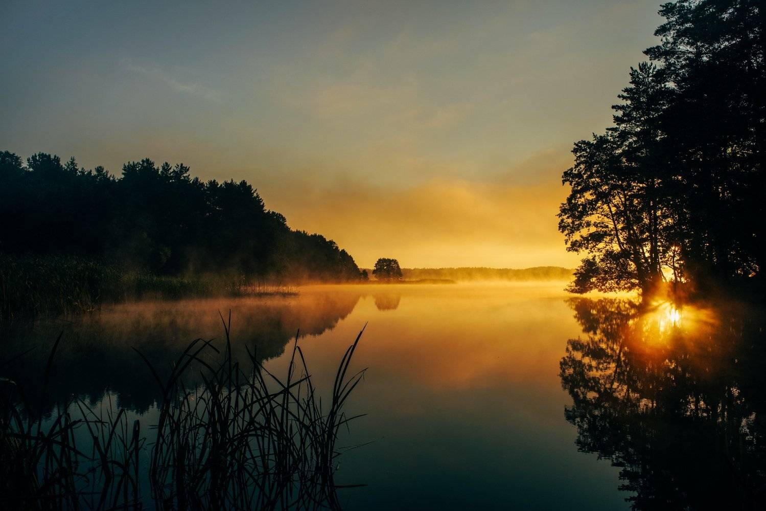 , Александр Фанковин