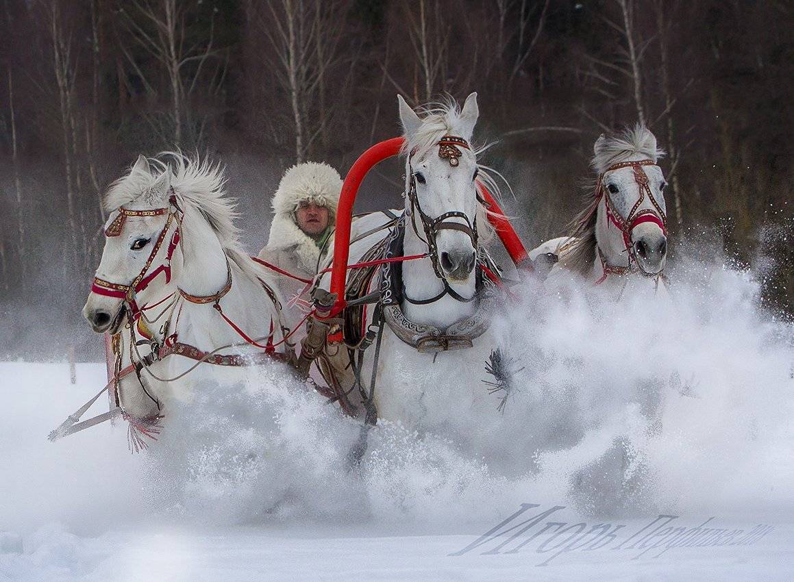 , игорь перфильев