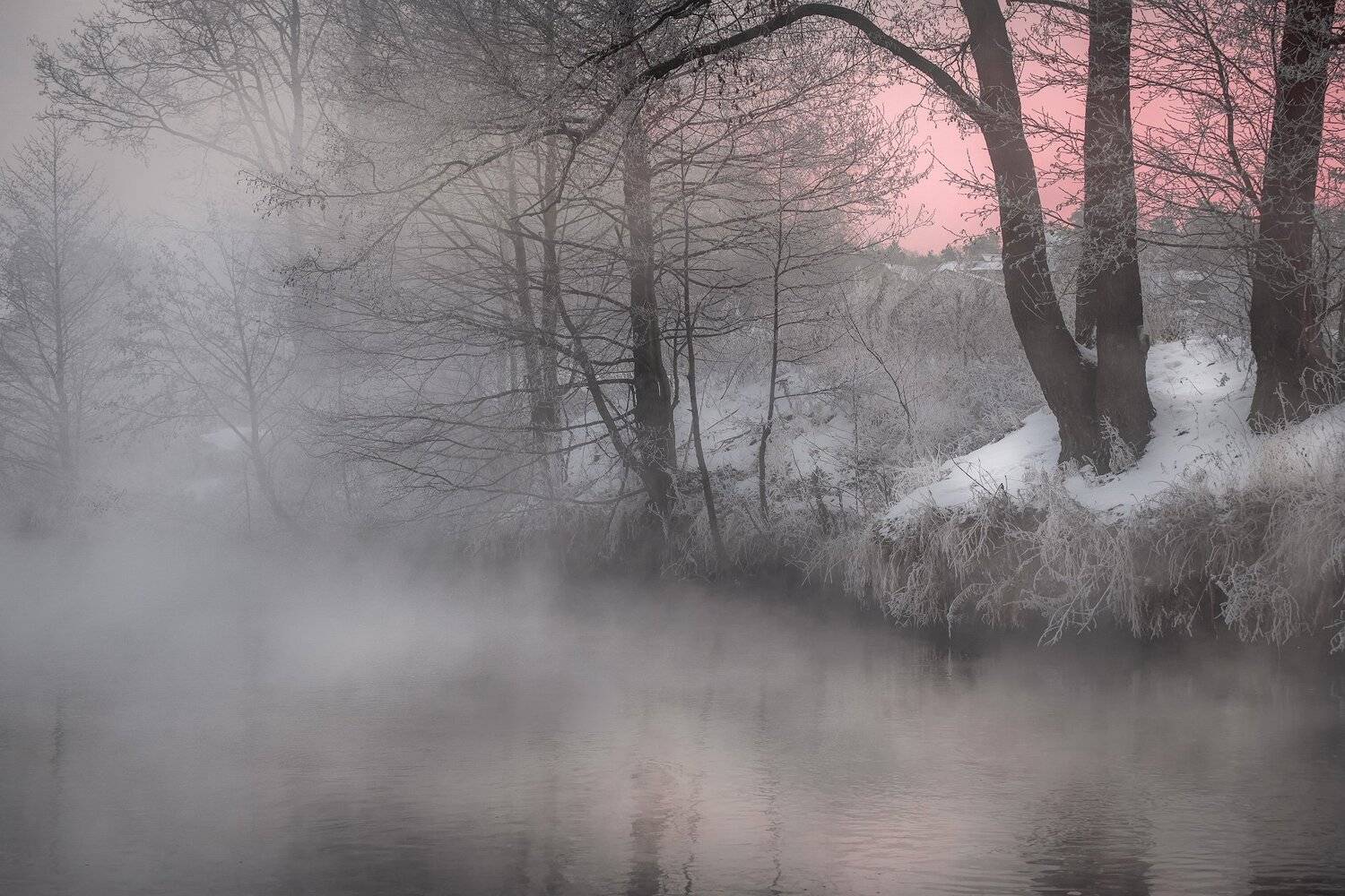 пехорка, река, пейзаж, зима, декабрь, туман, пар, иней, снег, лед, деревья, Андрей Чиж