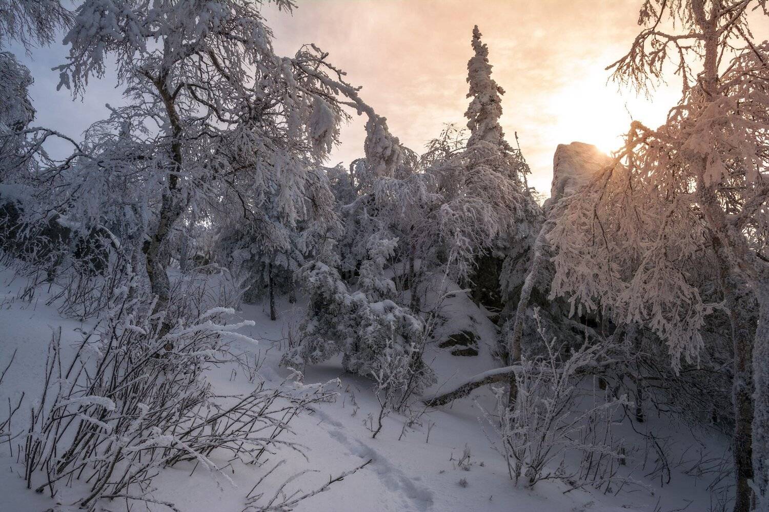 , Андрей Шарапов