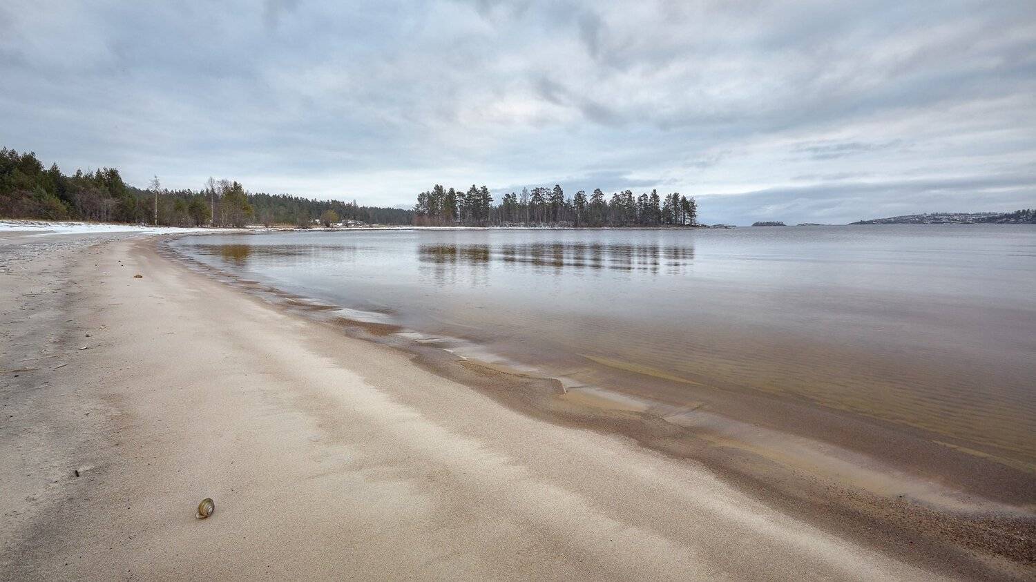ладога, пляж, ракушка, Антон Кононов