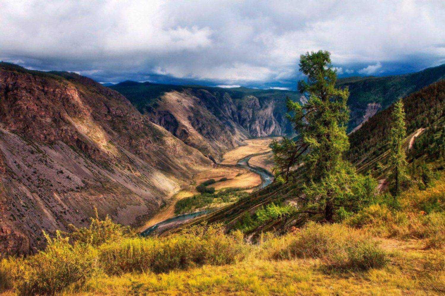 , Галина Хвостенко