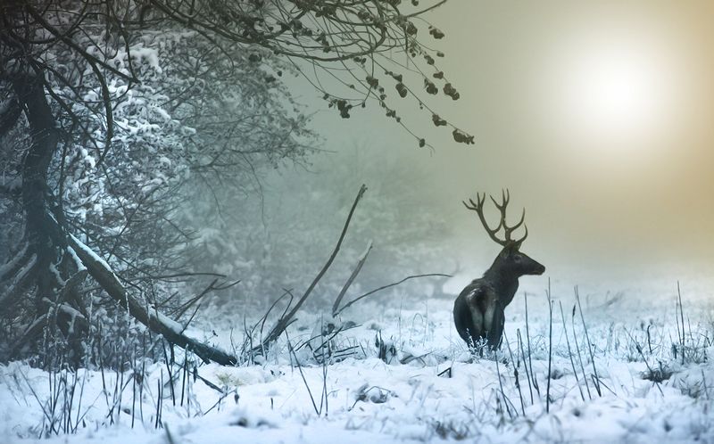 ,,..,--,--,.,,, фото превью