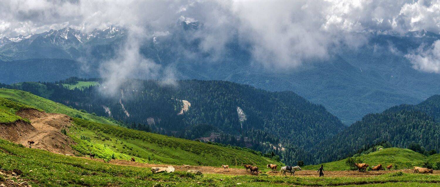 , Игорь Мелекесцев