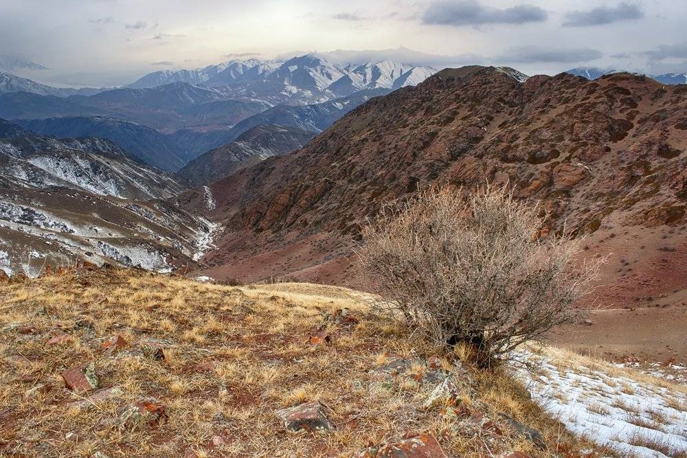 кыргызстан, горы, Элина Магалимова