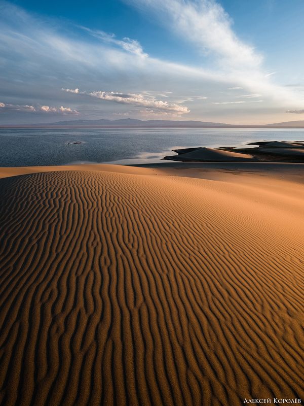монголия, закат, пустыня, песок, озеро, природа, пейзаж, лето, mongolia, sunset, desert, sand, lake, nature, landscape, summer Золото Монголии 3 фото превью