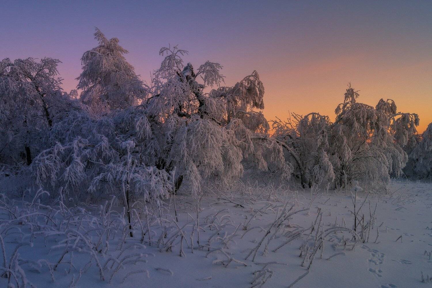 , Андрей Шарапов