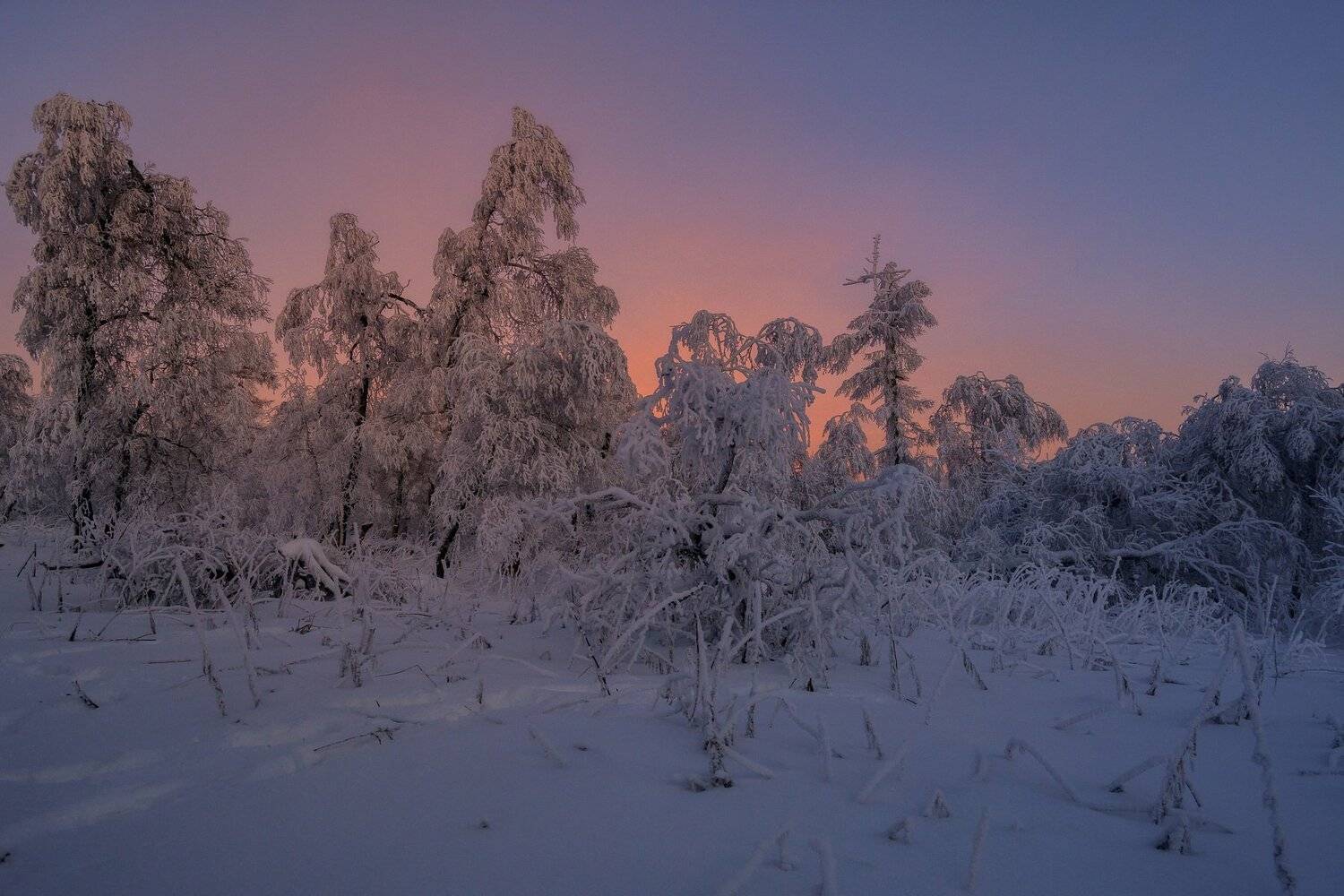 , Андрей Шарапов