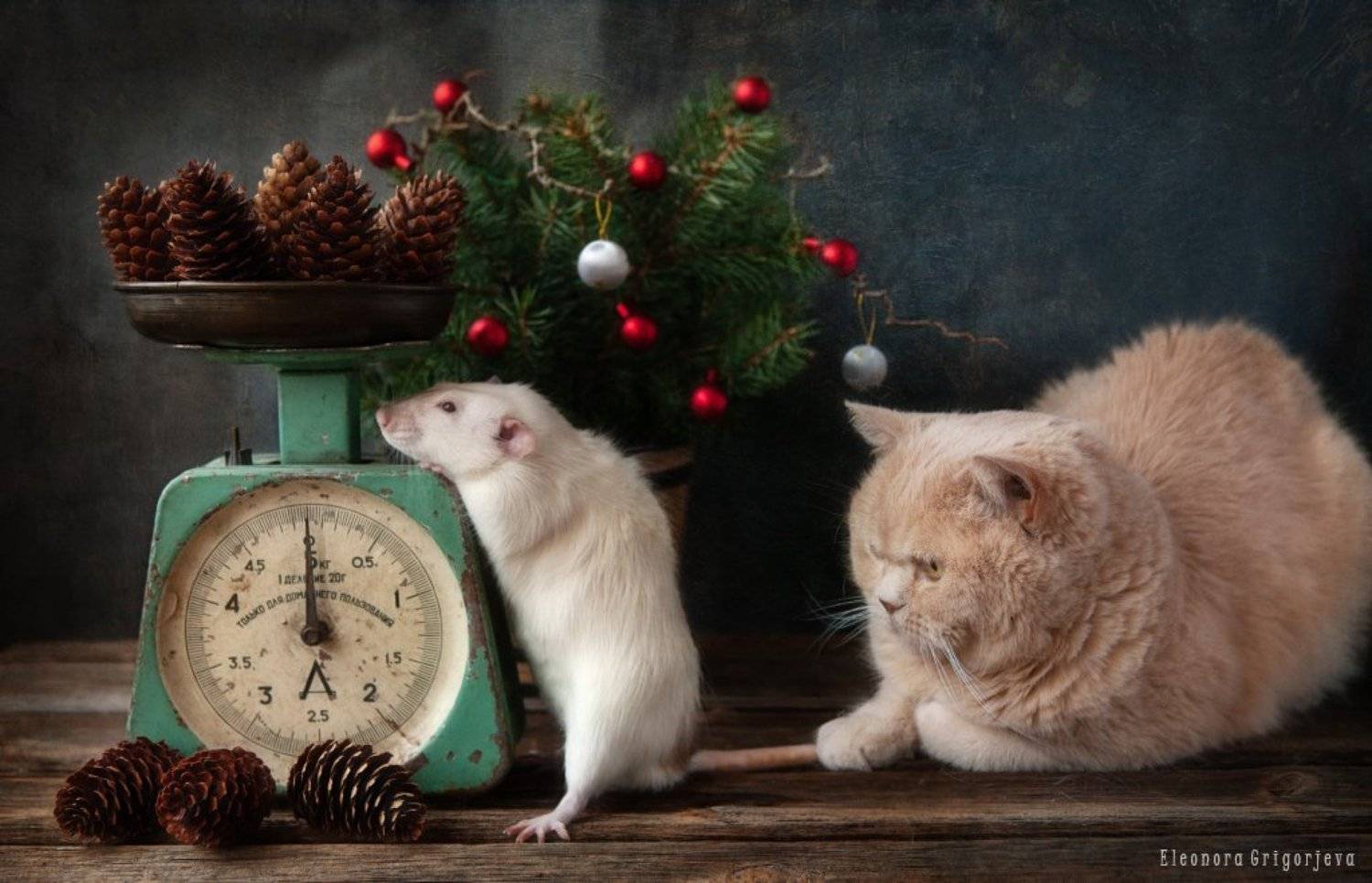 , Eleonora Grigorjeva