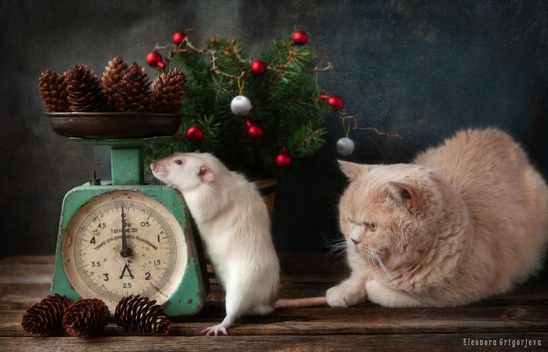 О мерах и весах фото превью