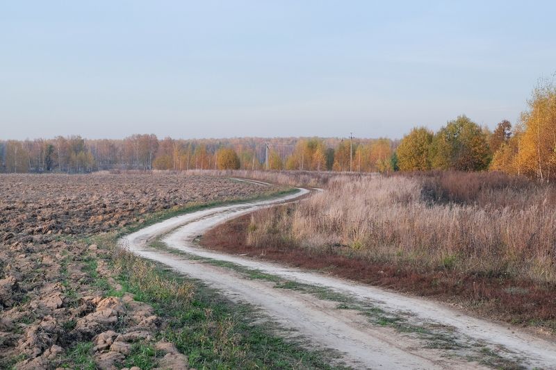 анна салтыкова, пейзаж, природа, осень, дорога, поле *** фото превью