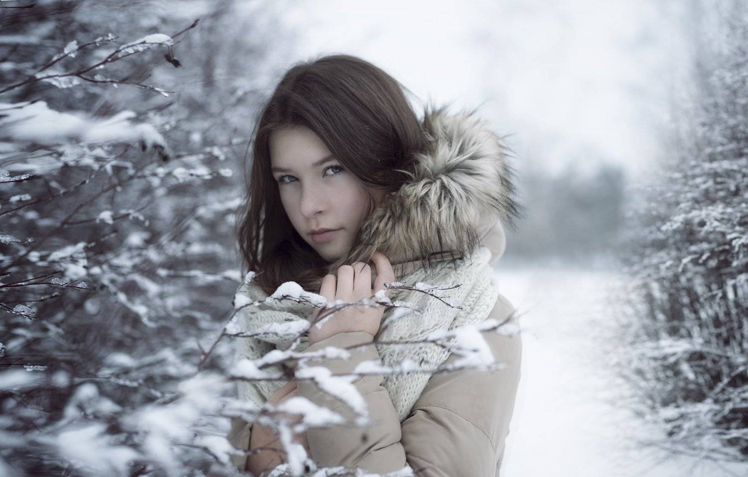 портрет , взгляд ,красивая девушка , цвет ,волосы , красивые губы ,нежность , нежность ,portrait, Natalia Kholodova