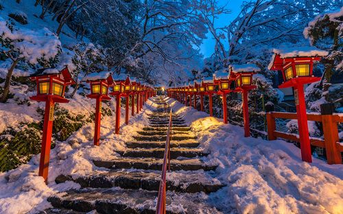 [ Silence Winter Beauty ]