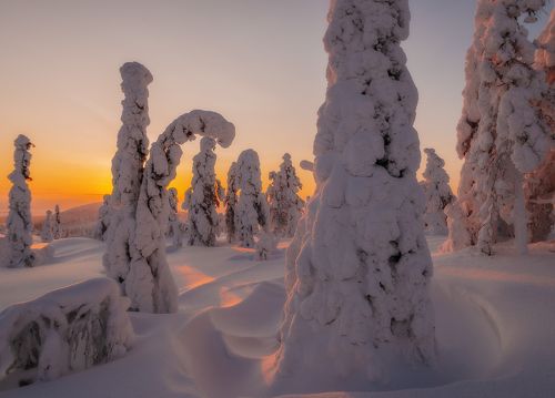 В прошлую зиму.