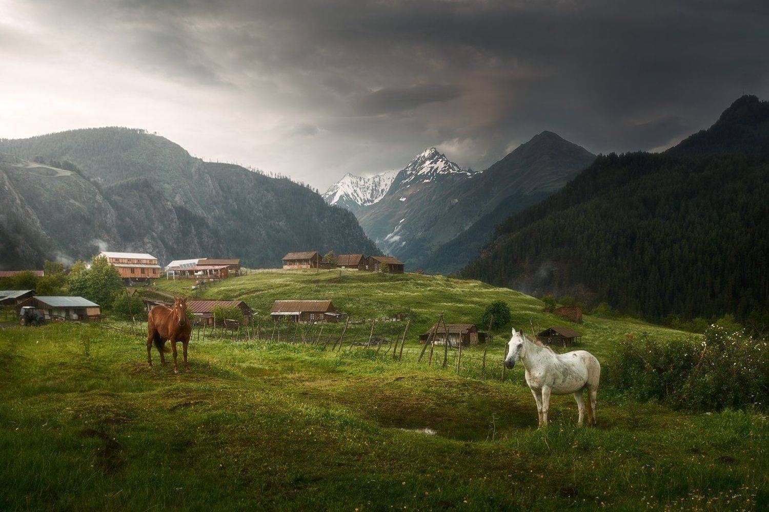 georgia, tuhetu, грузия, тушетия, лошади,, Soft Light