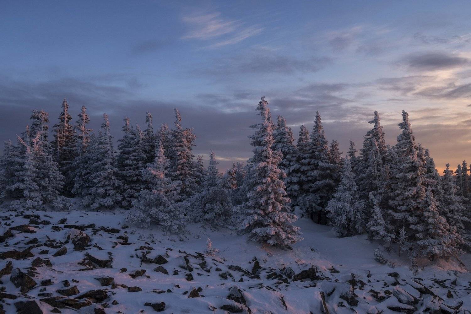 , Андрей Шарапов