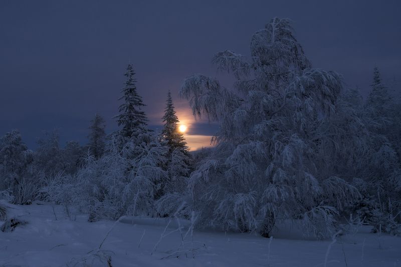 ******* фото превью