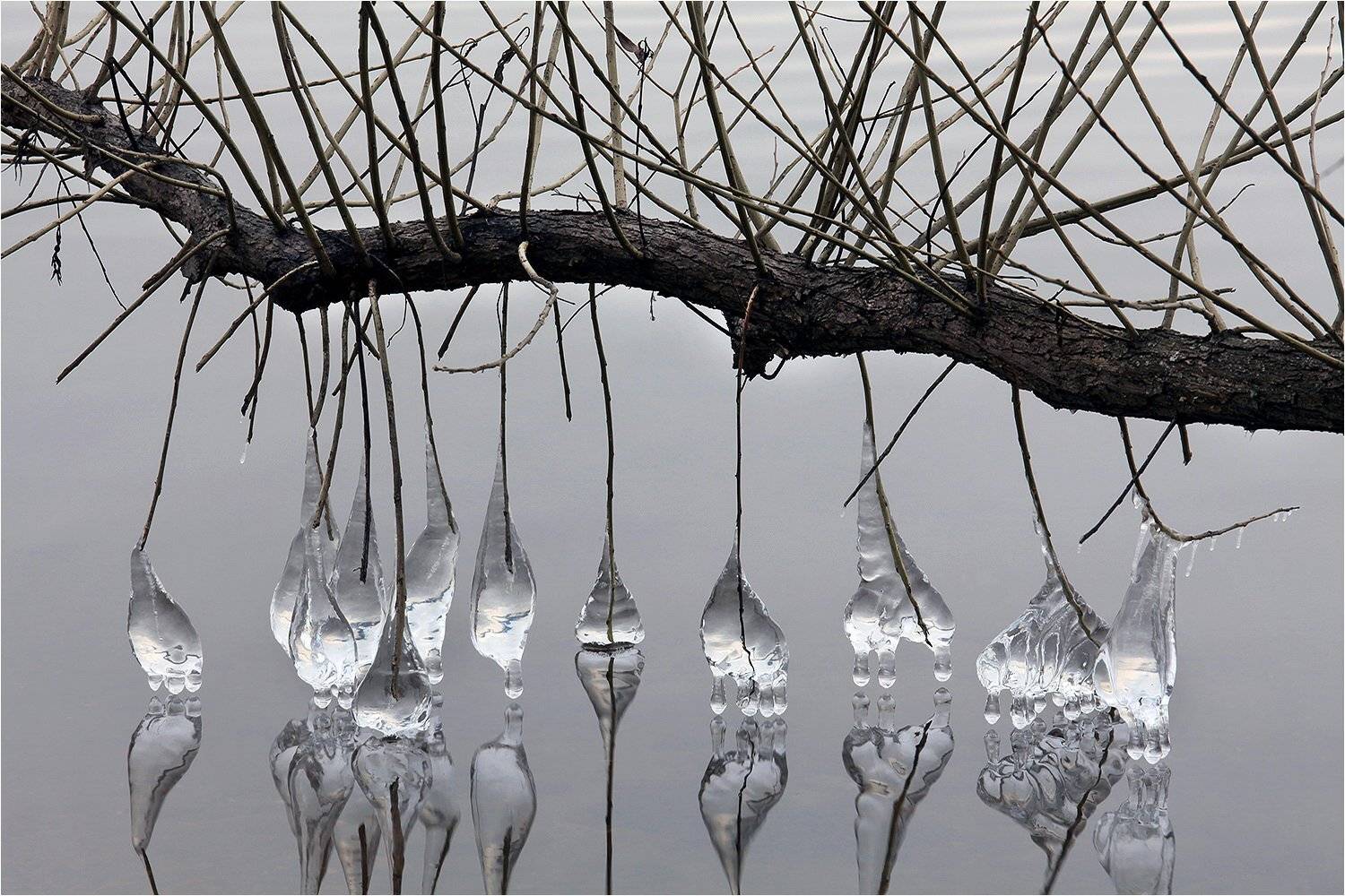 зима, лёд, ледышки, ветка, водохранилище, вода,, Victor Pechenev