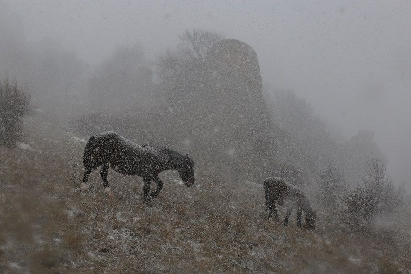 Снегопад на Демерджи фото превью