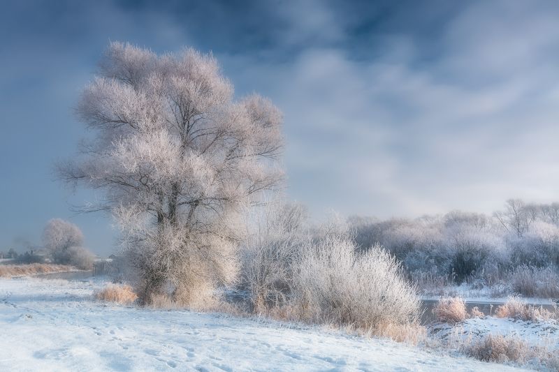 Frosty