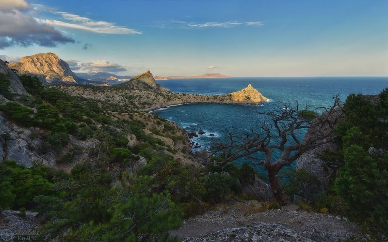 На Новый Свет опускался вечер… фото превью