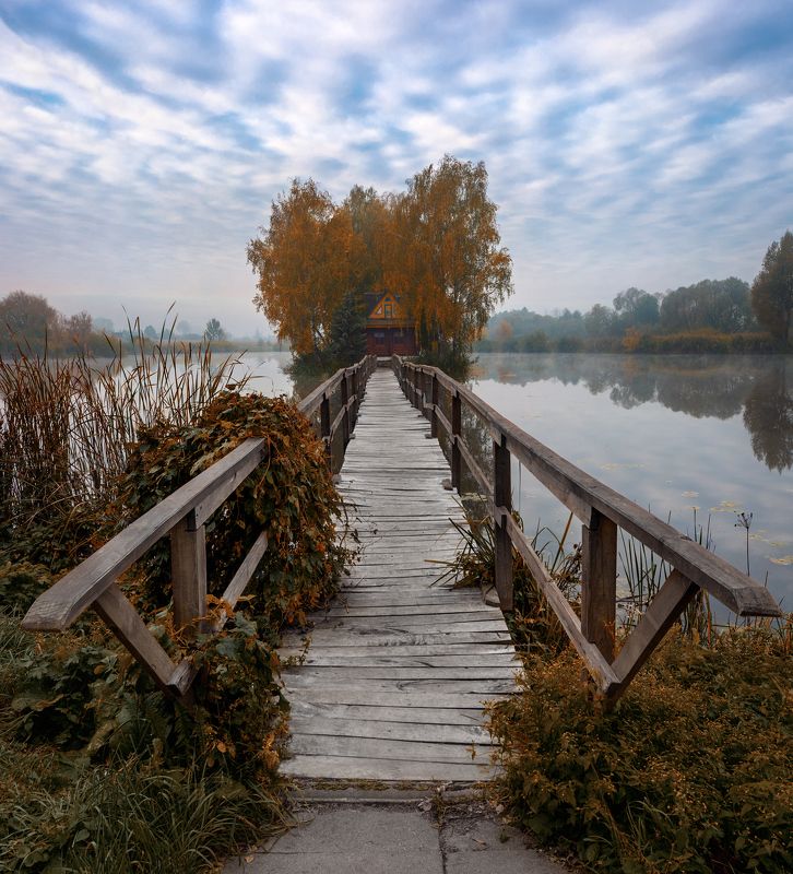украина, ukraine, житомир, zhytomer На Житомирщине. фото превью