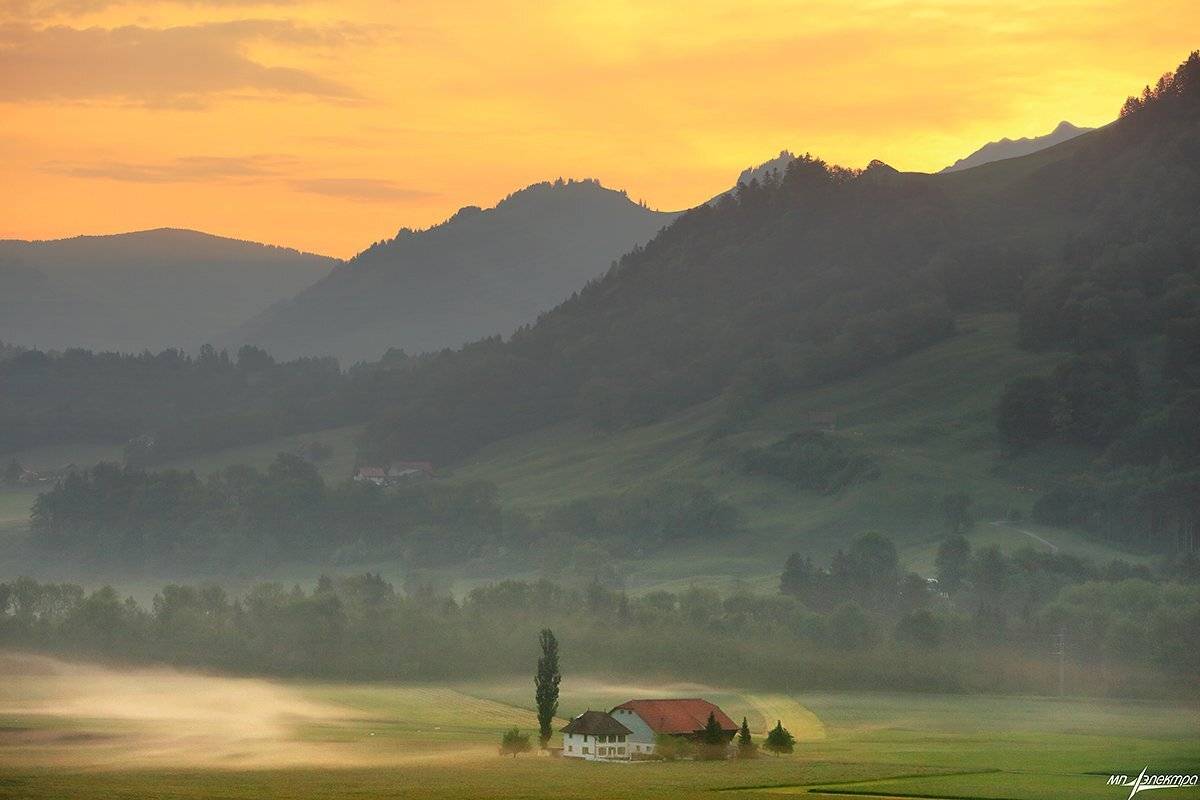 swiss, Матвеев Николай