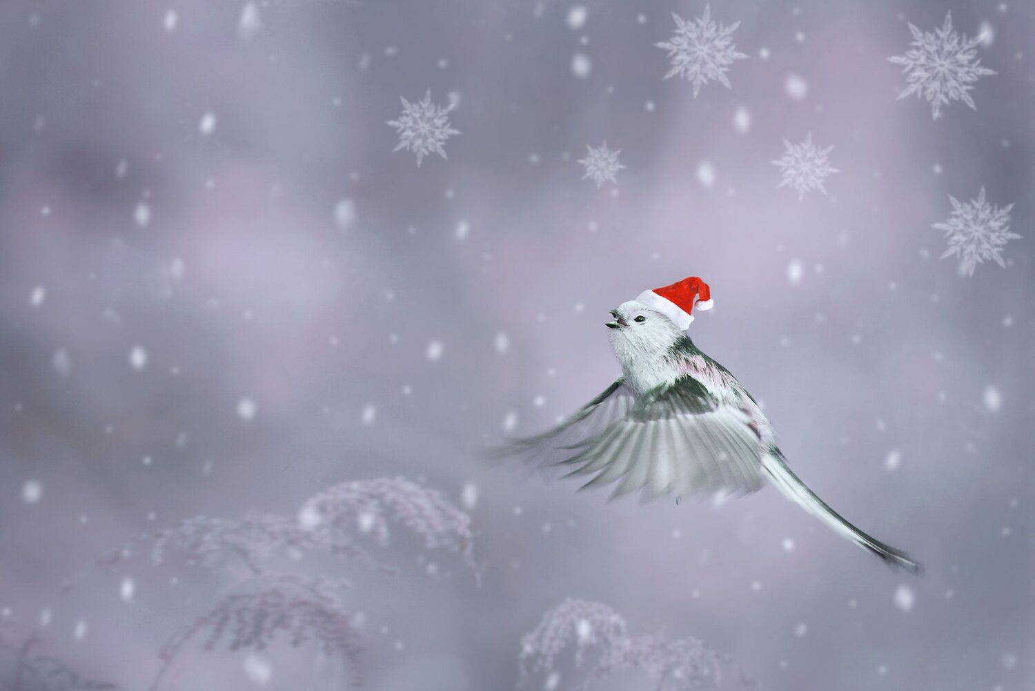 , Arkadiusz Michalak