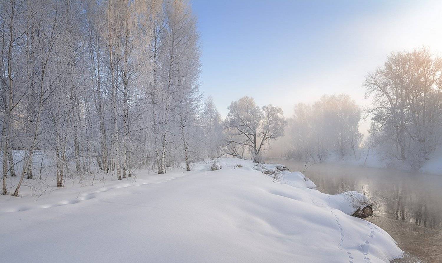 , Анатолий Зверев