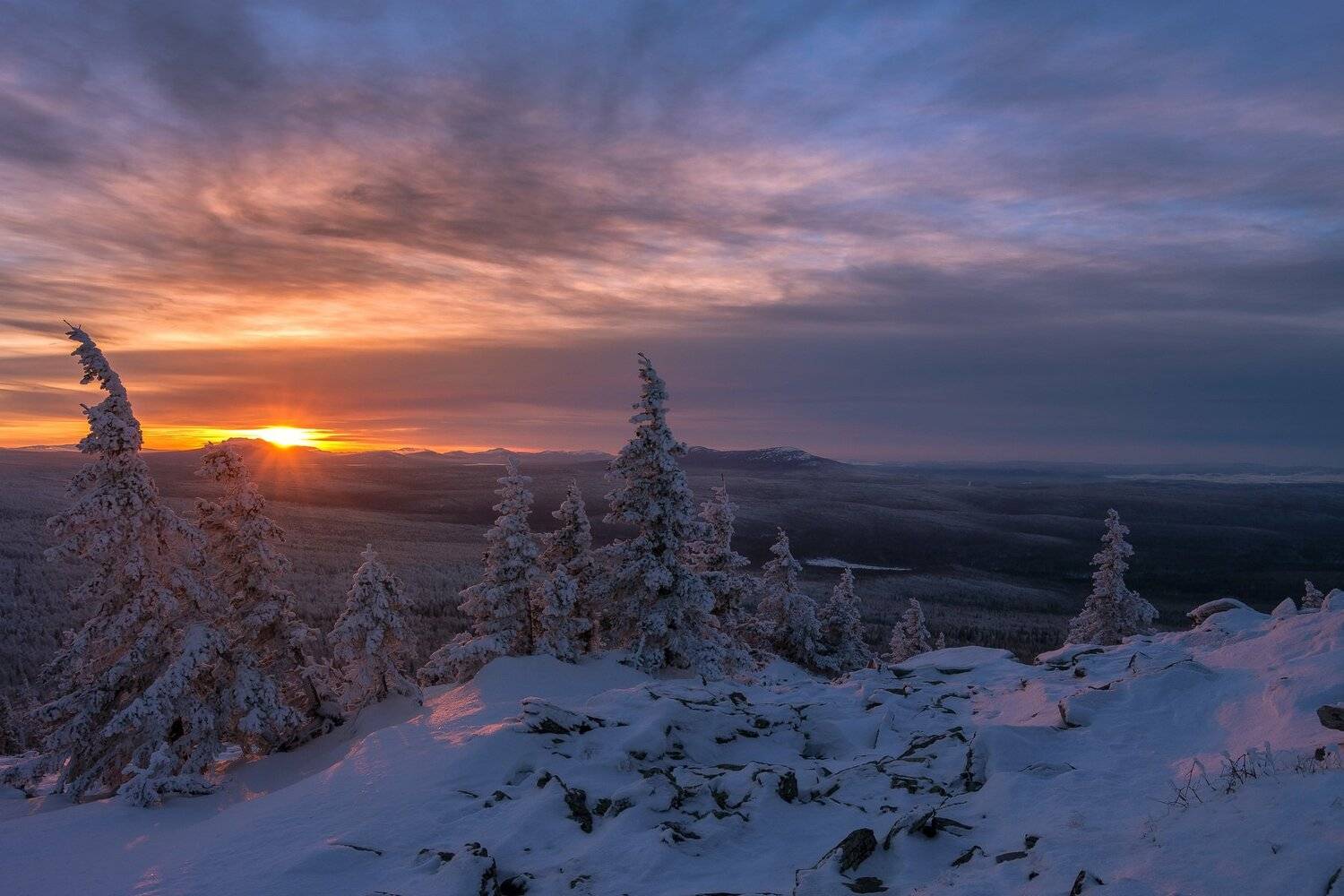 , Андрей Шарапов