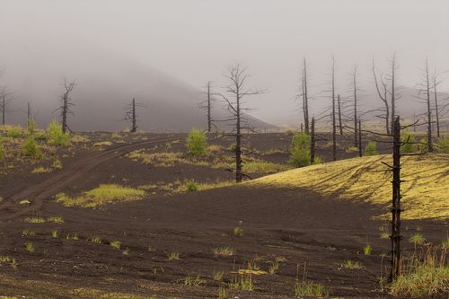 Туманная Камчатка