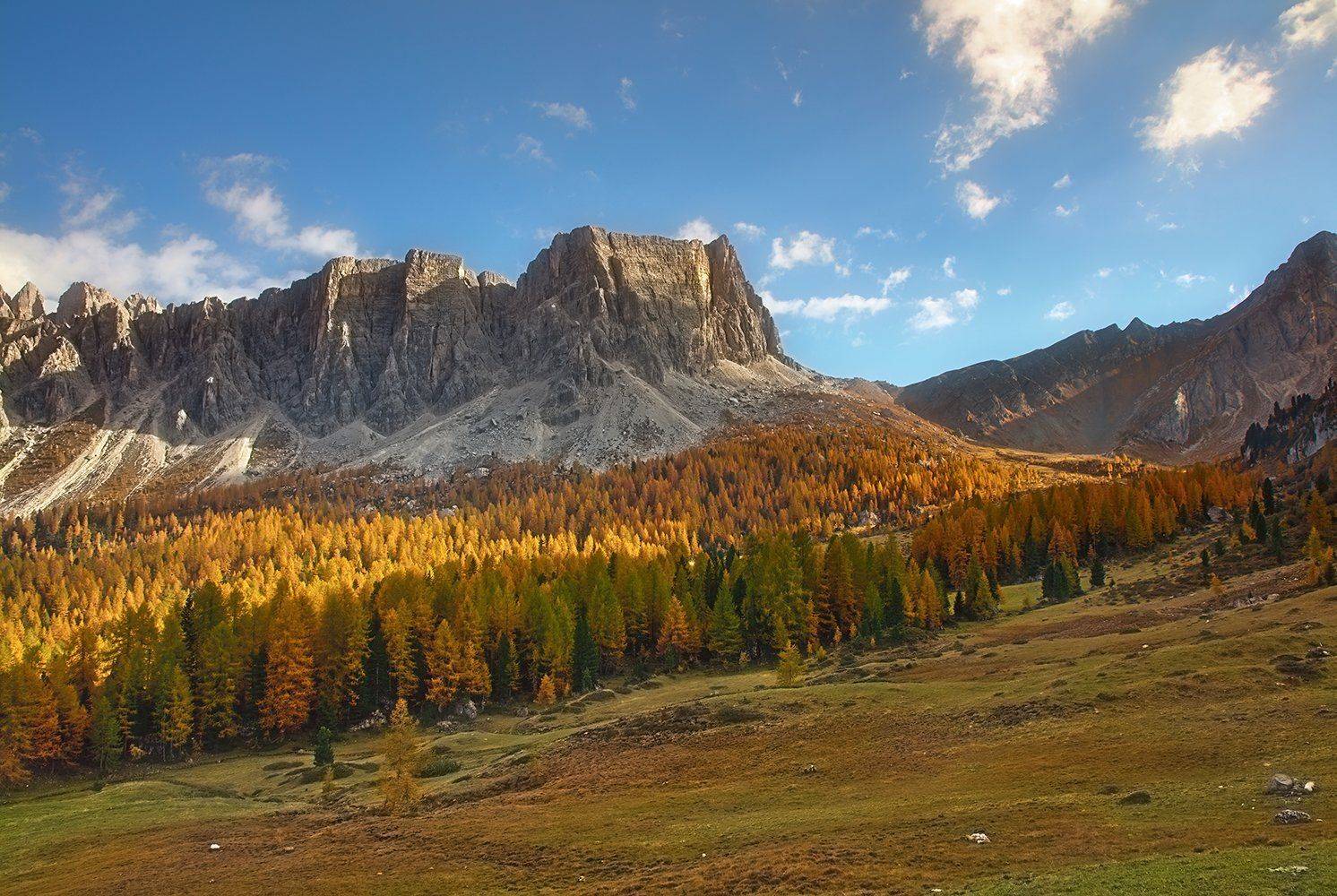 , Игорь Дубровский