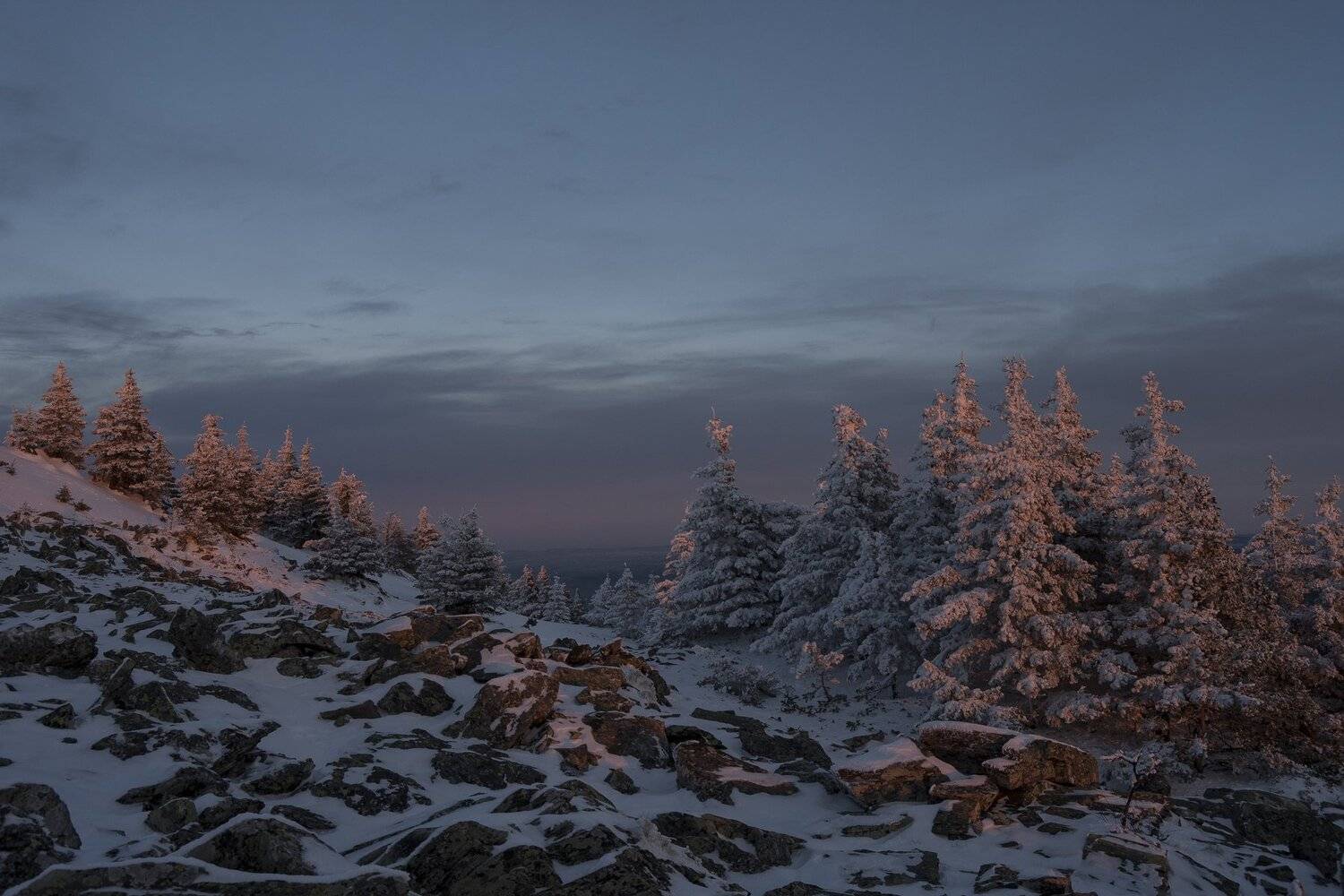 , Андрей Шарапов