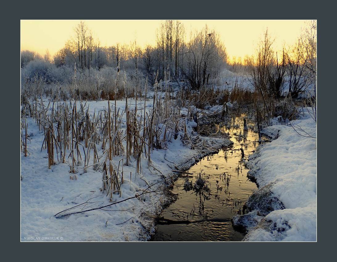 пейзаж, николай дмитрук
