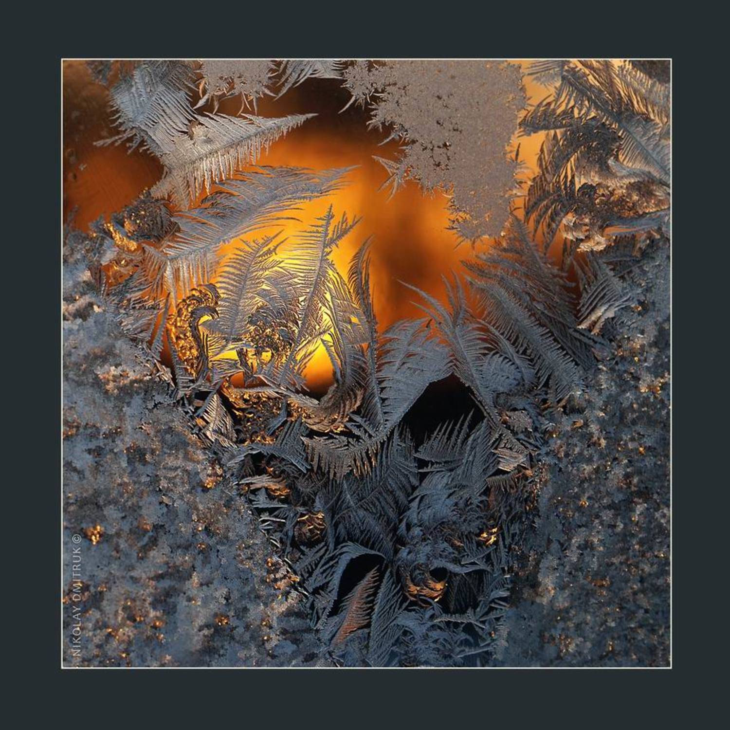 без, категории, николай дмитрук