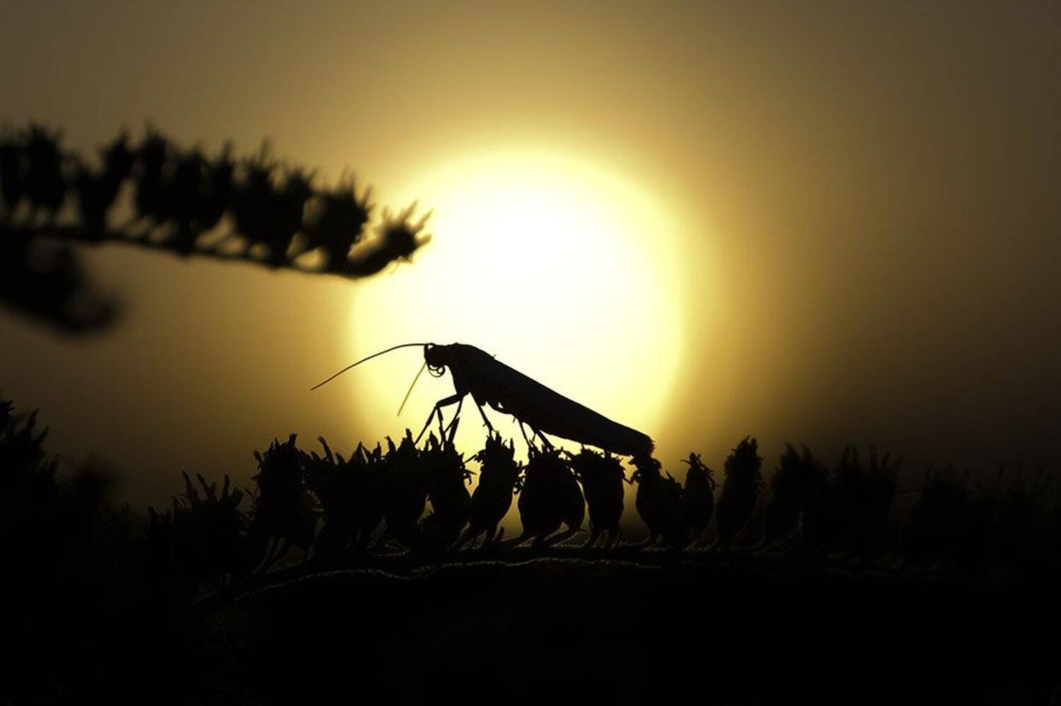 , Евгений Лукашук