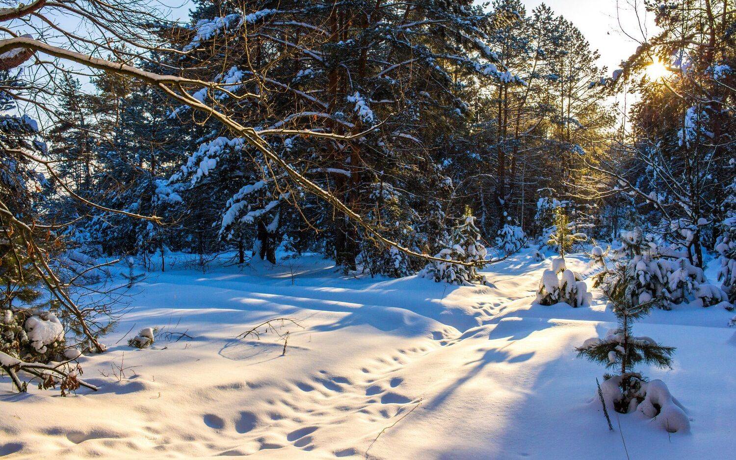 , Руслан Востриков