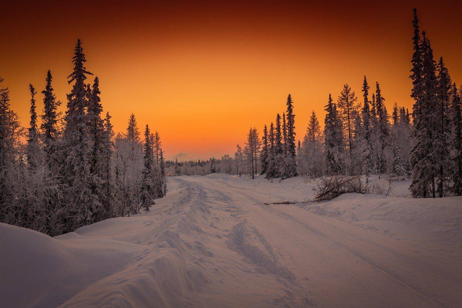 , Евгений Кужилев