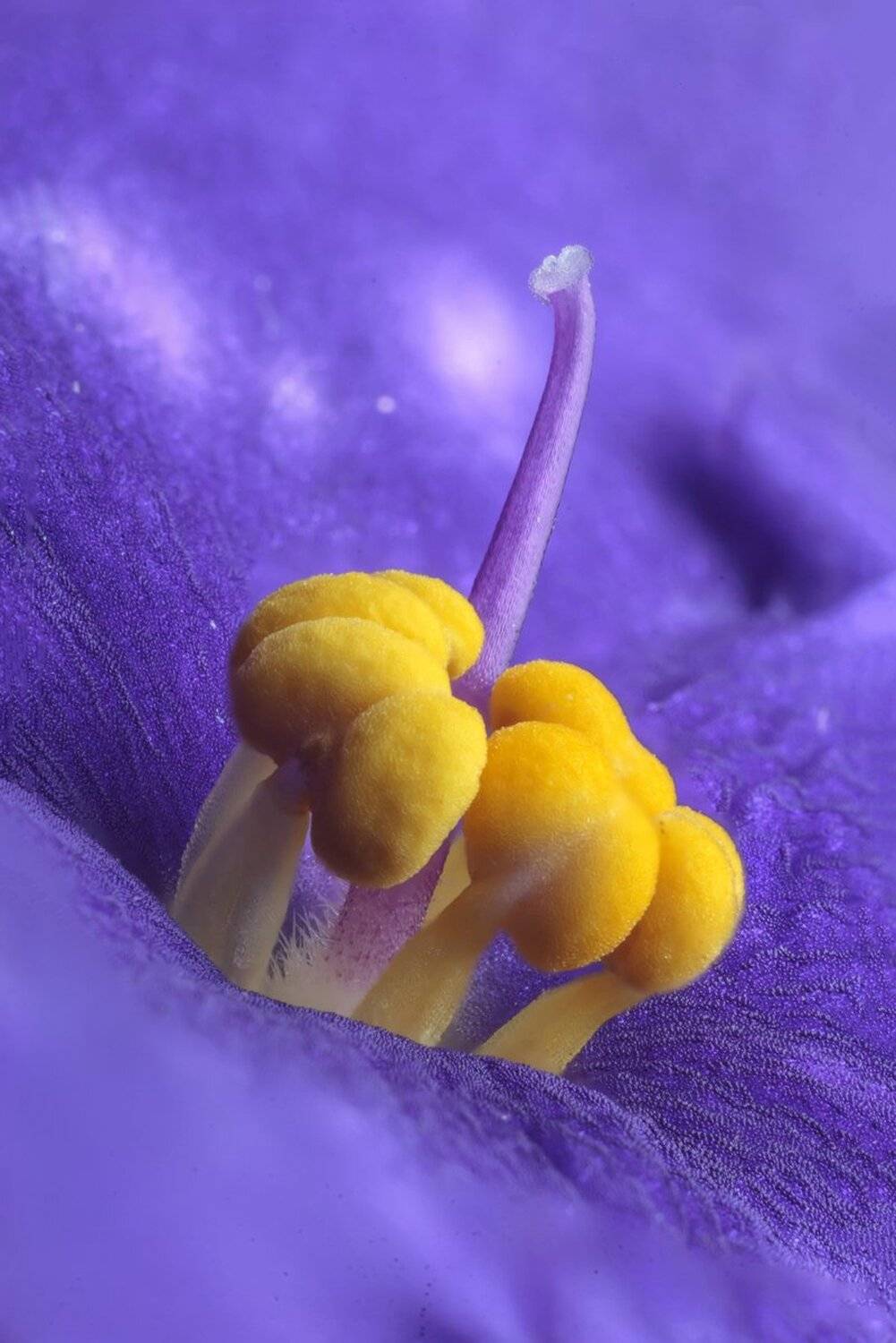 , Николай Андреев