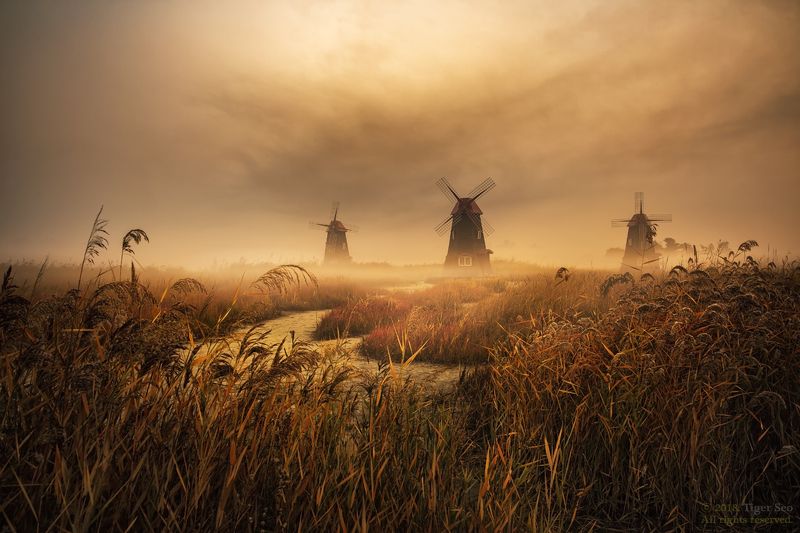 windmill forest sunrise fog foggy cloud light Kroea landscape foggy morning фото превью