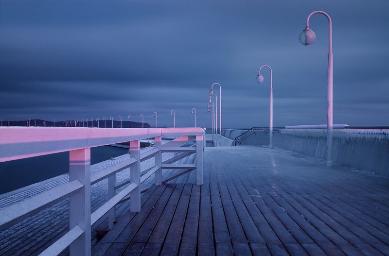 Зимняя вишня фото превью