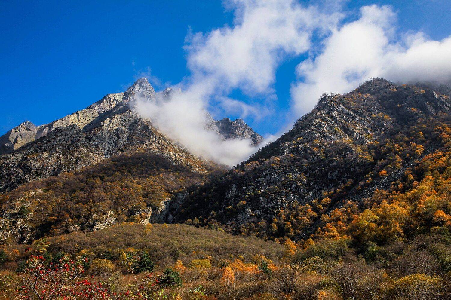 горы,осень,природа,лес,туман, Marat Magov