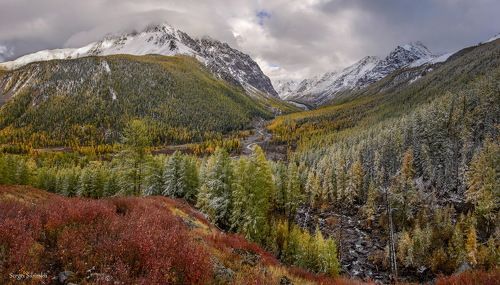 Мажой+Каракабак