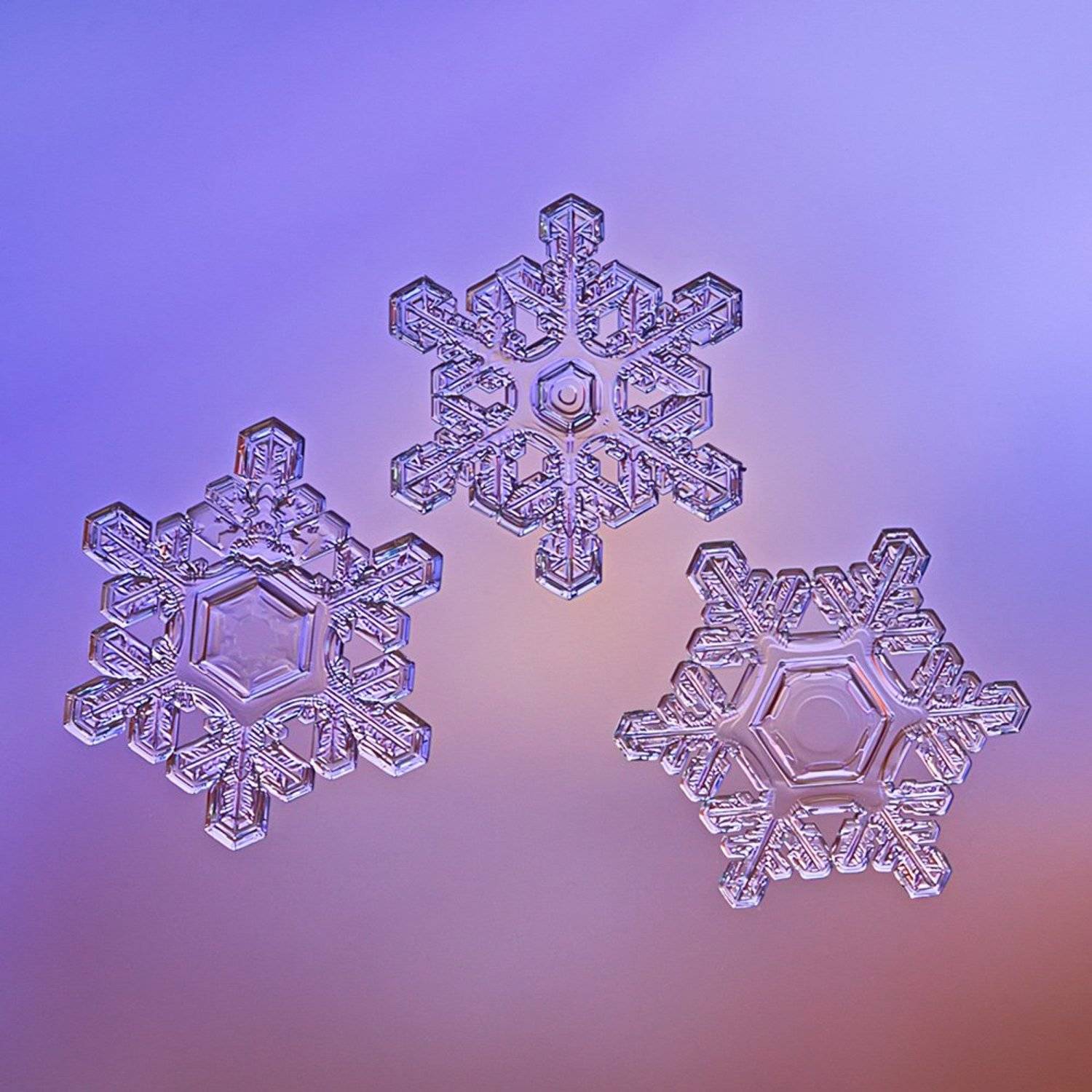 снежинка, снежинки, макро, природа, кристалл, зима, Елена Соловьёва